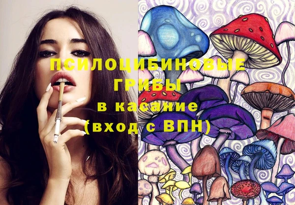 МДПВ Дмитров