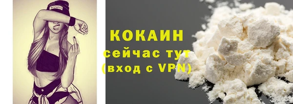 амф Дмитриев