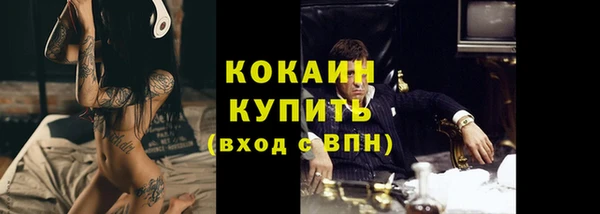 амф Дмитриев