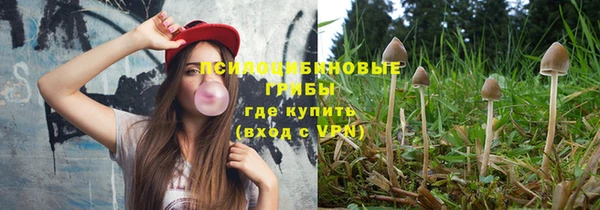 МДПВ Дмитров