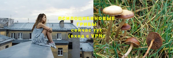 наркотики Дмитровск