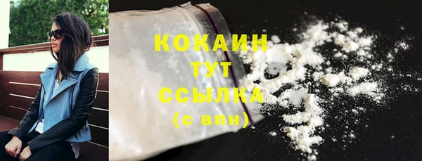 амф Дмитриев