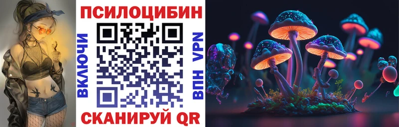 Купить закладки  Власиха  Псилоцибиновые грибы Psilocybe 